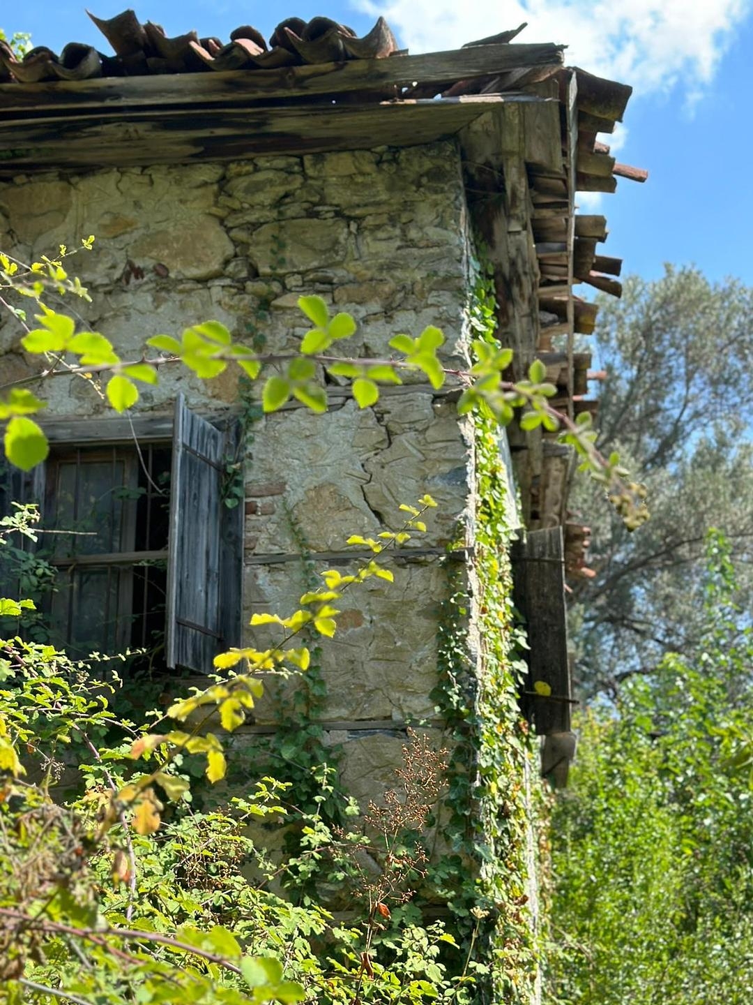 Property Images 1