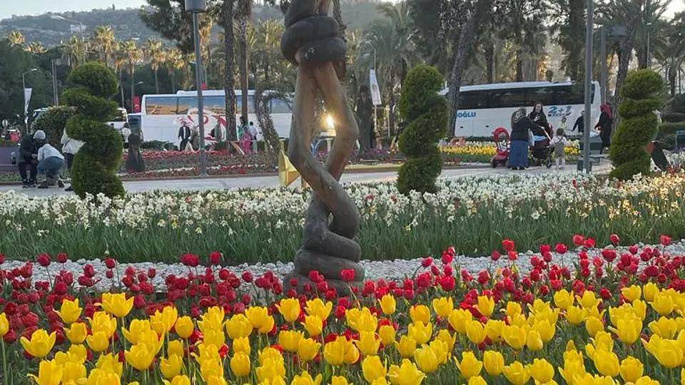 Tulpen in der Türkei