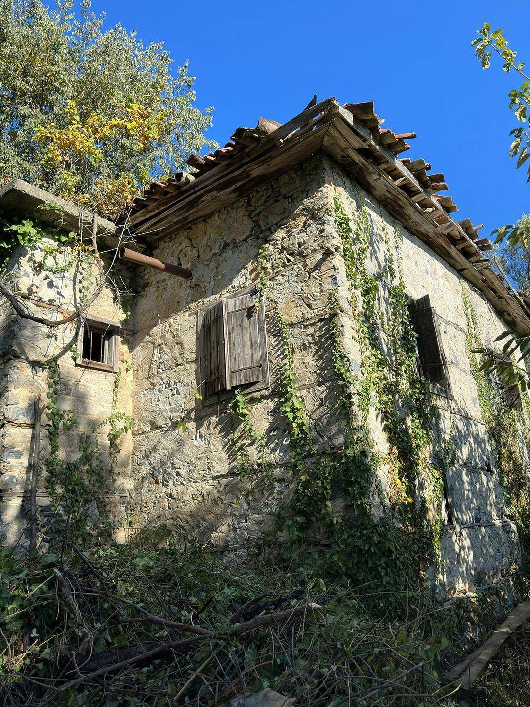 Property Images 2