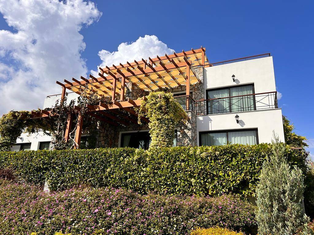 Property Images 1