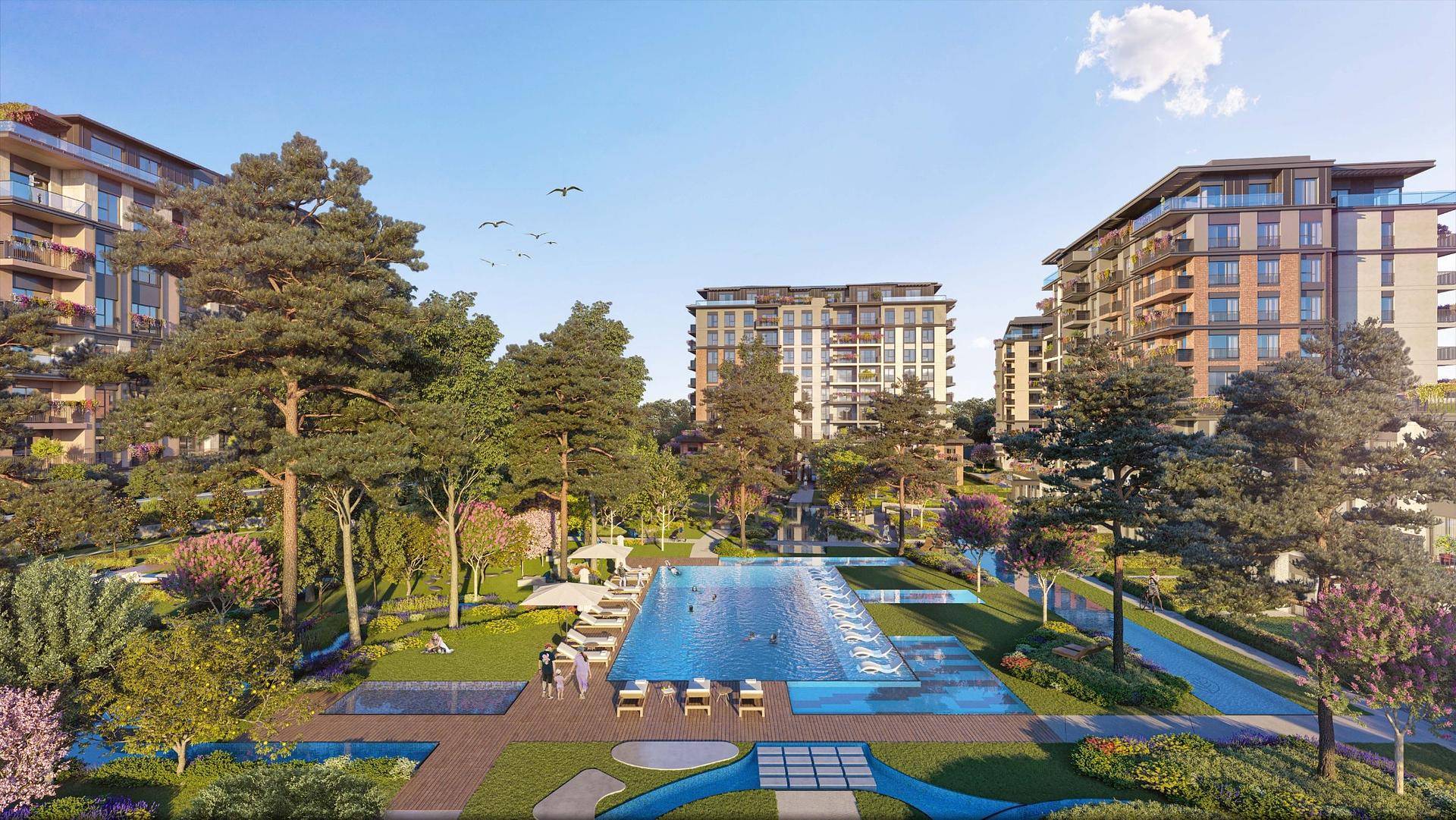 Property Images 1
