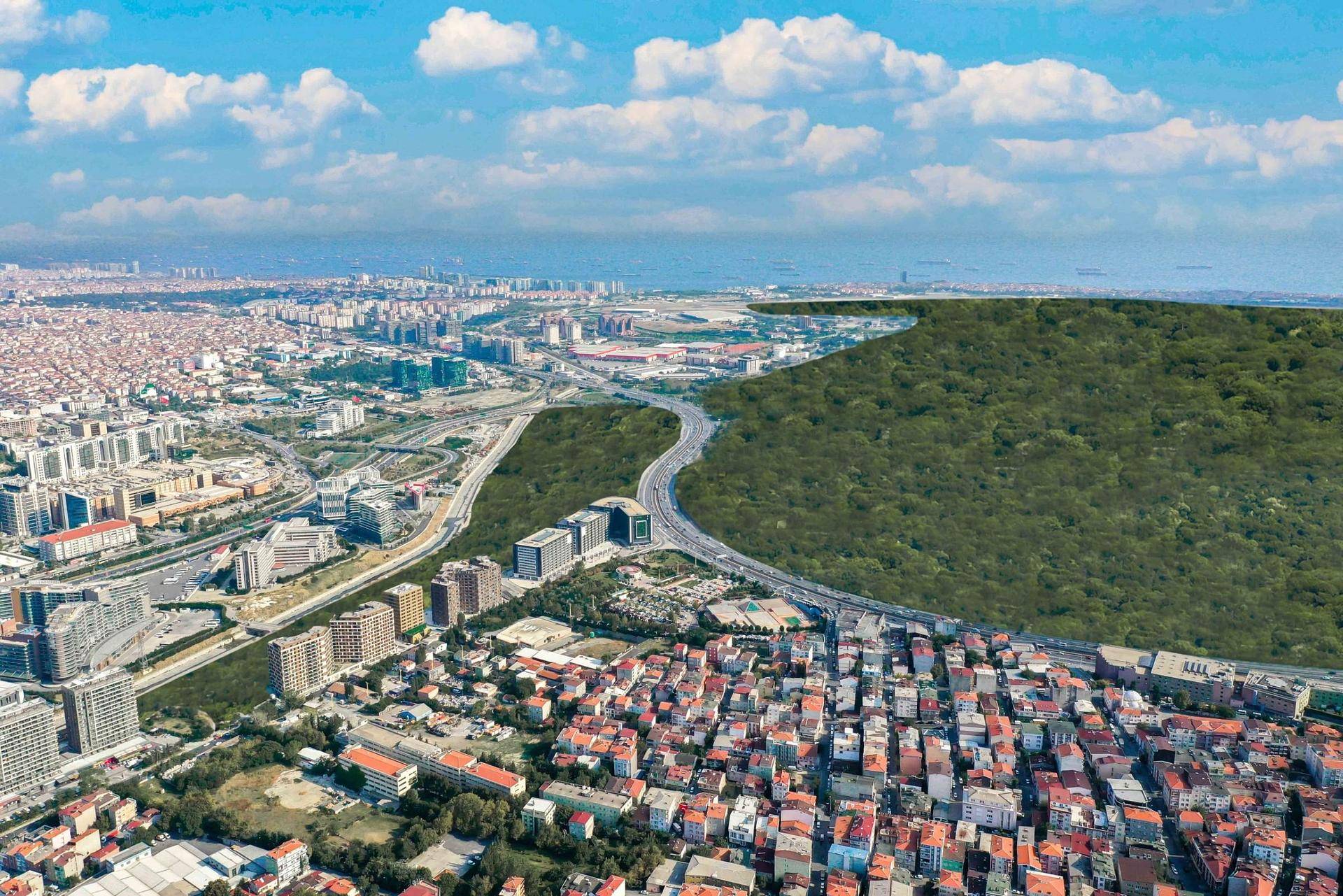 Nuosavybės vaizdas 4