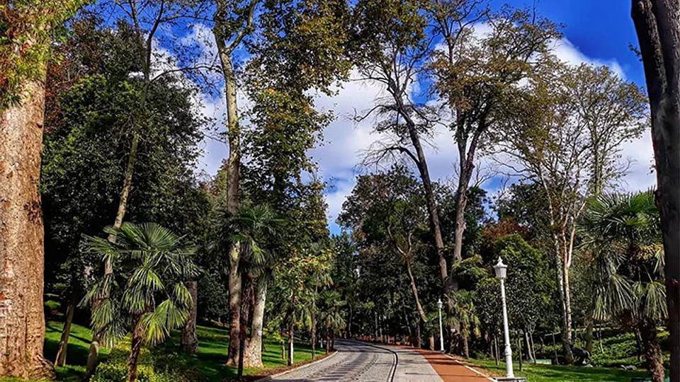 İstanbul'un Kalbinde Bir Cennet: Yıldız Parkı