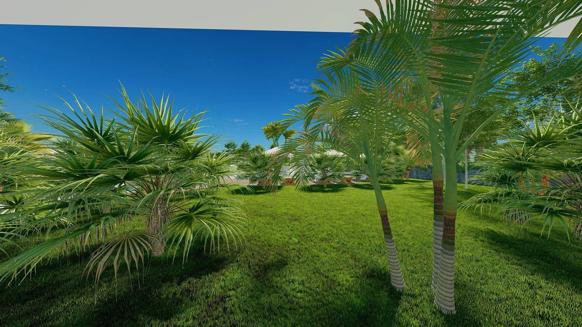 Property Images 4