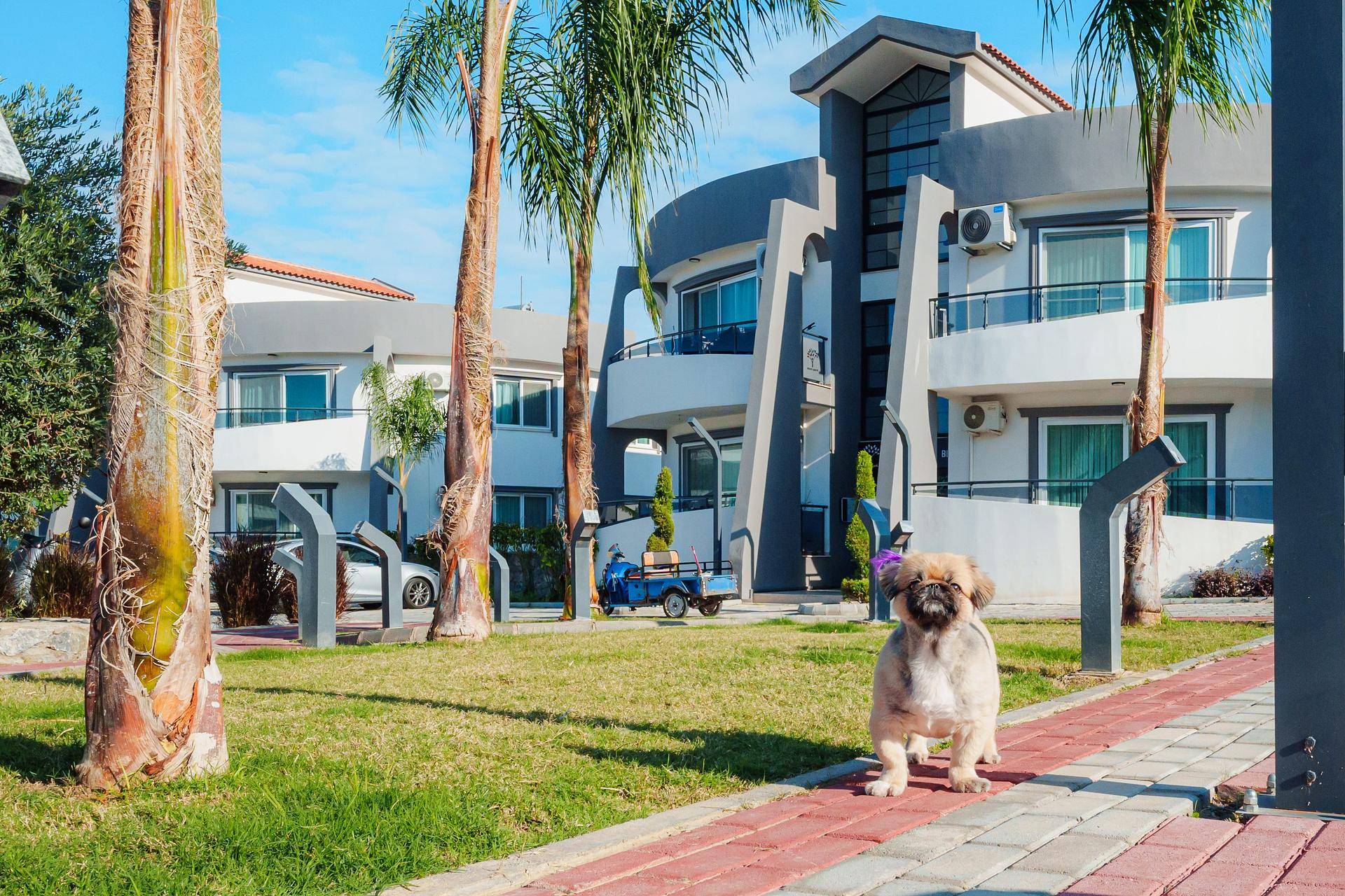 Property Images 1