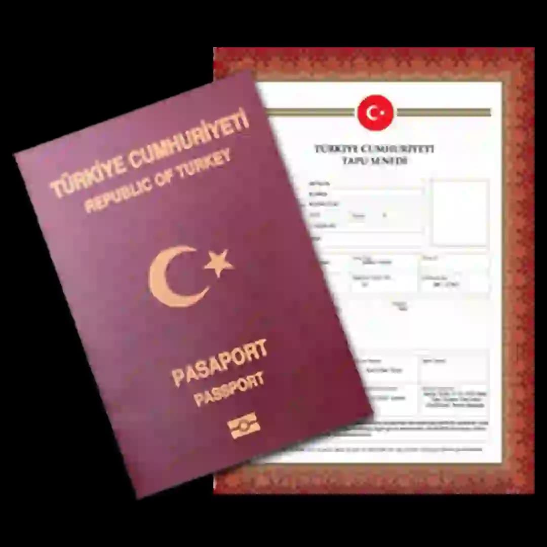 Citizenship
